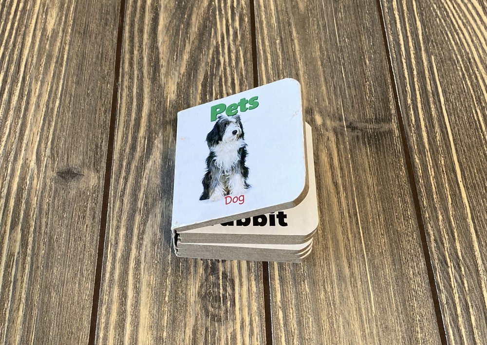 Flower Pot Press Pets Mini Book 2.75 X 2.75 Toddler Baby Kids