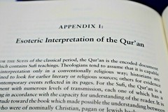 The Sufis By Idries Shah Book Edition 381 pages Published 2011