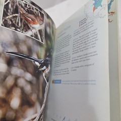 Backyard Birds of Virginia : How to Identify and Attract the Top 25 Fenimore PB