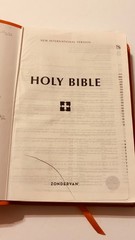 Lot Of 3 Elevation Church Holy Bibles Zondervan NIV: Leathersoft Orange