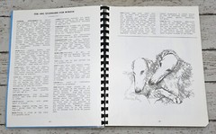 Borzoi Club Of America 1985 Yearbook BCOA Vintage Sprial Bound
