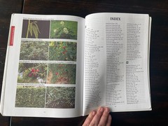 The Forager’s Guide to Wild Foods North American Edition by Nicole Apelian