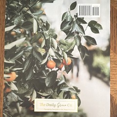 Genesis: Foundations of Grace Vol 1 Joanna Kimbrel PB Illus