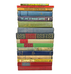 Vintage Books Lot of 16 Pinocchio High Towers Pride’s Castle Jubilee 1930s-1960s