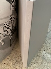 A Family Named Spot by Allan Gurganus: Hard Cover Photo Book 2006