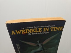 A Wrinkle in Time – Madeleine L’Engle PB 1984 Dell Laurel Leaf (Stranger Things)