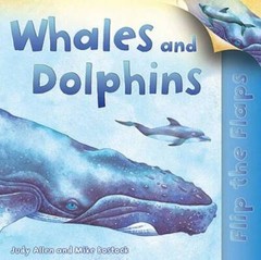 Flip The Flaps: Whales and Dolphins – Paperback By Allen, Judy – GOOD