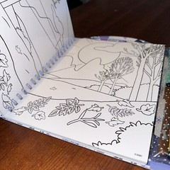 Frozen Spiral Activity Color & Erase 5 Pages Clings – Included Dry Erase Markers