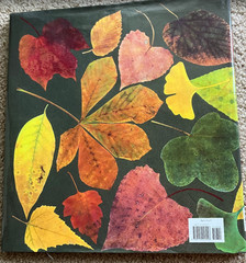 Lot 10 LOIS EHLERT Books HC — well loved and unique set