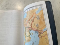 NIV Bible 1984 Large Print Reference Navy Bonded Leather Red Letter Text