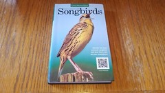 North American Songbirds Cool Springs Press