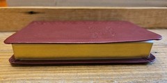 12 Steps to Holiness and Salvation St Alphonsus Liguori Burgundy LeatherSoft