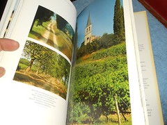 FRENCH VINEYARDS The Complete Guide and Companion by MICHAEL BUSSELLE HC/DJ 1998