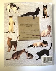 The Complete Book of The Cat Hard Cover Vintage 1992 Paddy Cutts