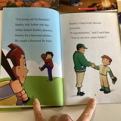 Flat Stanley I Can Read Level 2 Readers 1st 2nd 3rd Grade 10 Book Lot