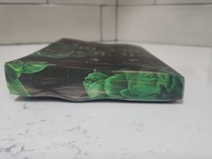 Vicious Secret: A Dark Romance (Deluxe Limited Edition) by Morgan Bridges Paperb