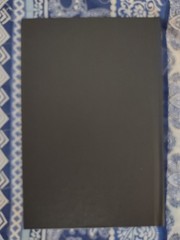 Essays Volume 4 by J. Edward & Erica Cornelius Signed Privately Published 1/200