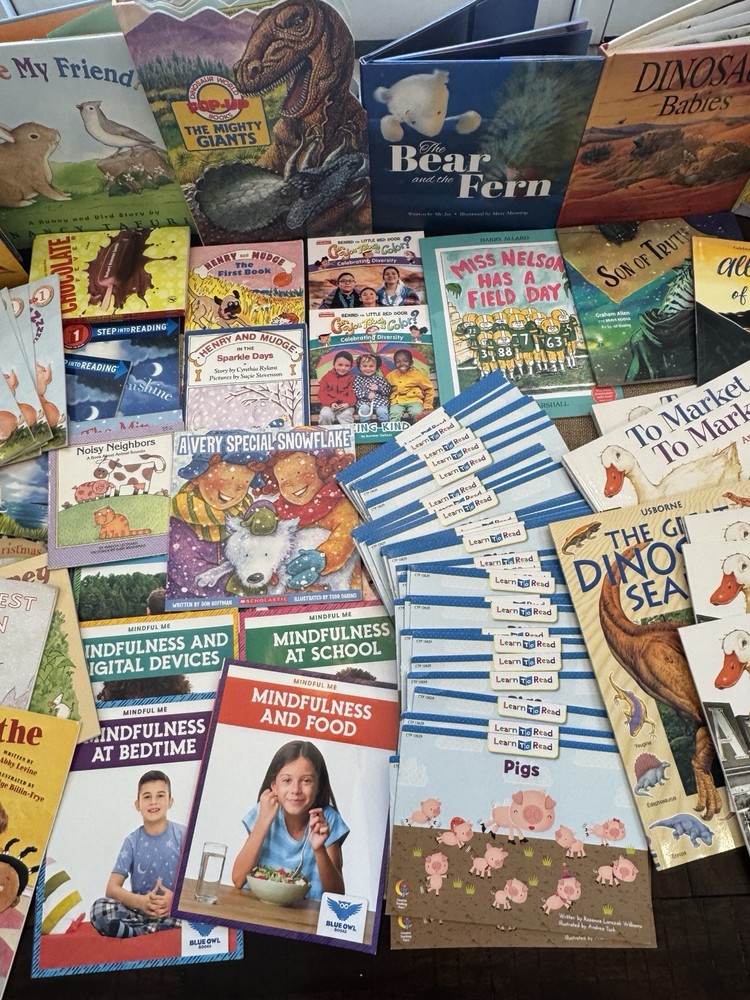 K-2 Teacher Classroom Library Lot SEL Early Readers Dinosaur, Read Aloud