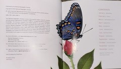 Daily Joy : 365 Days of Inspiration by National Geographic (2012, Hardcover)
