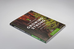 Growing Strong in God’S Family: Rooted and Built up in Him (The 2:7 Series)