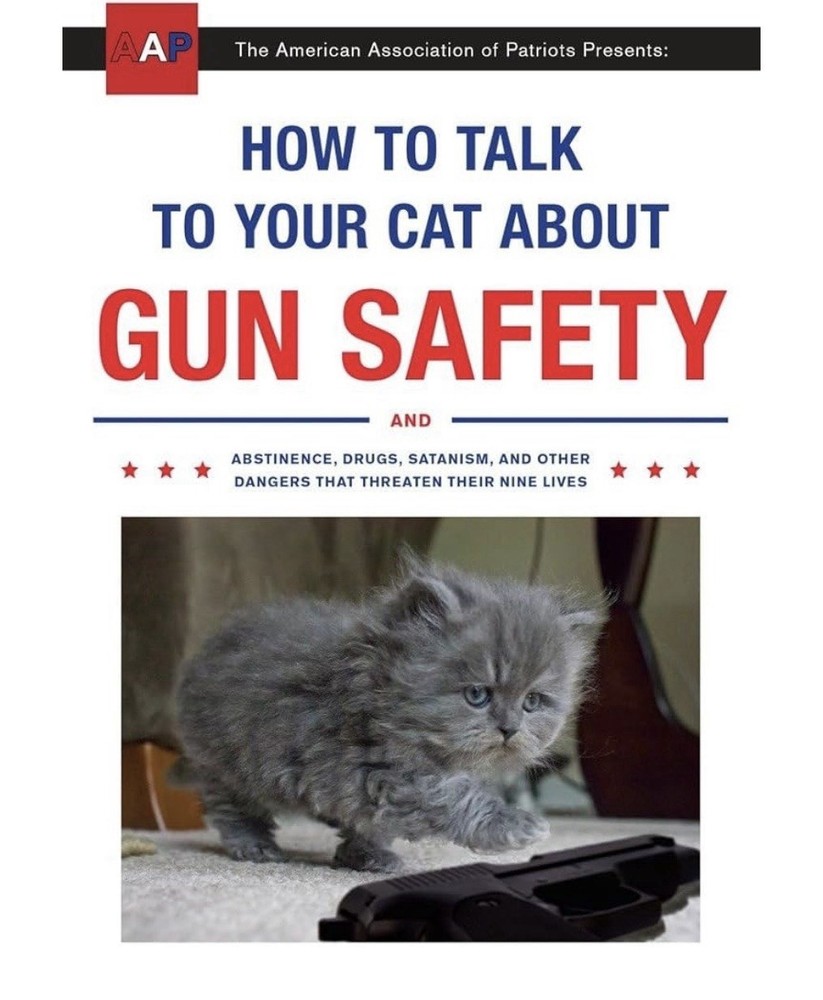 How to Talk to Your Cat About Gun Safety Paperback Book