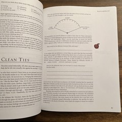 When Godly People Do UnGodly Things The Age of Seduction / Beth Moore DVD Kit