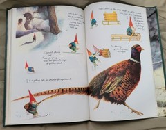 Secrets of the Gnomes by Rien Poortvliet and Wil Huygen (1982, Hardcover)
