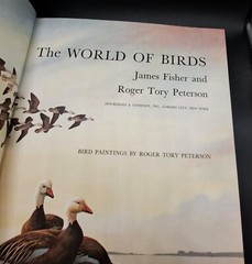 THE WORLD OF BIRDS By Roger Tory Peterson & James Fisher – Hardcover *Excellent*
