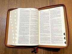 Russian/English Parallel Bible, Synodal/KJV, Brown Imitation Leather Zip LARGE