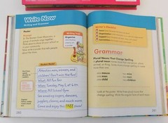 Lot Of 2~Learning Books~3-D Explorer Bugs~Reading 2008 Student Edition Grade 2.1