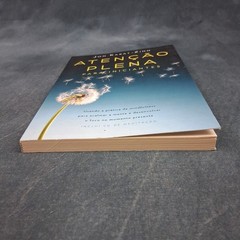 Atenção Plena Para Iniciantes Jon Kabat-Zinn Portuguese PB w/ CD LN