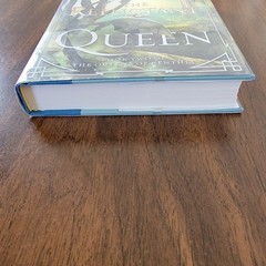 The Reluctant Queen: Book Two of The Queens of Renthia – Sarah Beth Durst
