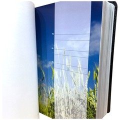NIV Study Bible by Zondervan 2011 Black Leather with Silver Gilded Edges