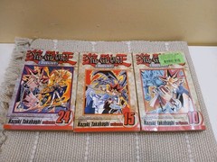 Classic Shonen & Dark Fantasy Magna Action Mixed Lot (17 Books) -bk2.1