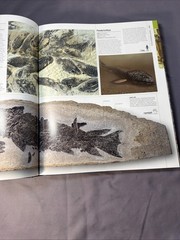 Dinosaurs & Prehistoric Life: The Definitive Visual Guide to Prehistoric Animals
