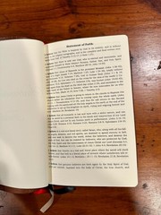 RARE: Charles Ryrie Study Bible NKJV, Premium American Bison Leather Binding