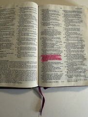 Christian Life Bible Burgundy Genuine Leather Leather NKJV
