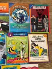 Lot of 21 Level 3 & 4 Early Reader Chapter Books Scholastic I Can Read Mixed Set