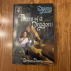 Bryan Davis Dragons In Our Midst Complete Series Lot of 4 (#1-4) Set PB