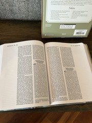 NRSVue, Holy Bible, Anne Neilson Angel Art Series, Leathersoft, Multi-Color