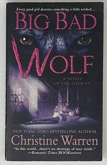 PARANORMAL ROMANCE: 10 Others Series Novels by Christine Warren – Ten PB Lot