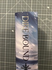 Dire Bound – Sable Sorensen FairyLoot Exclusive Edition – Hardcover Unsigned NEW