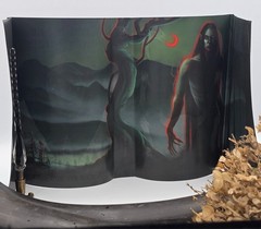 Buffalo Hunter Hunter | Stephen Graham Jones | SIGNED OwlCrate Hardcover
