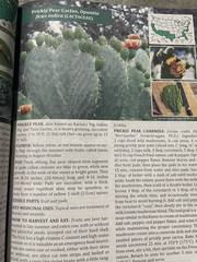The Forager’s Guide to Wild Foods North American Edition 2021 Nicole Apelian