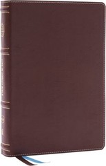 NKJV Life in Christ Bible: Discovering, Believing, and Rejoicing in Who God Says