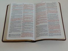 KJV Thinline Bible, Black/Brown Leather-Touch Cover, King James Version