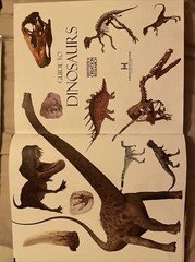 Guide to Dinosaurs