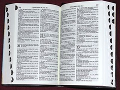 French Bible, La Sainte Bible – Segond 1910 Blue Vinyl, Handheld Thumb Index