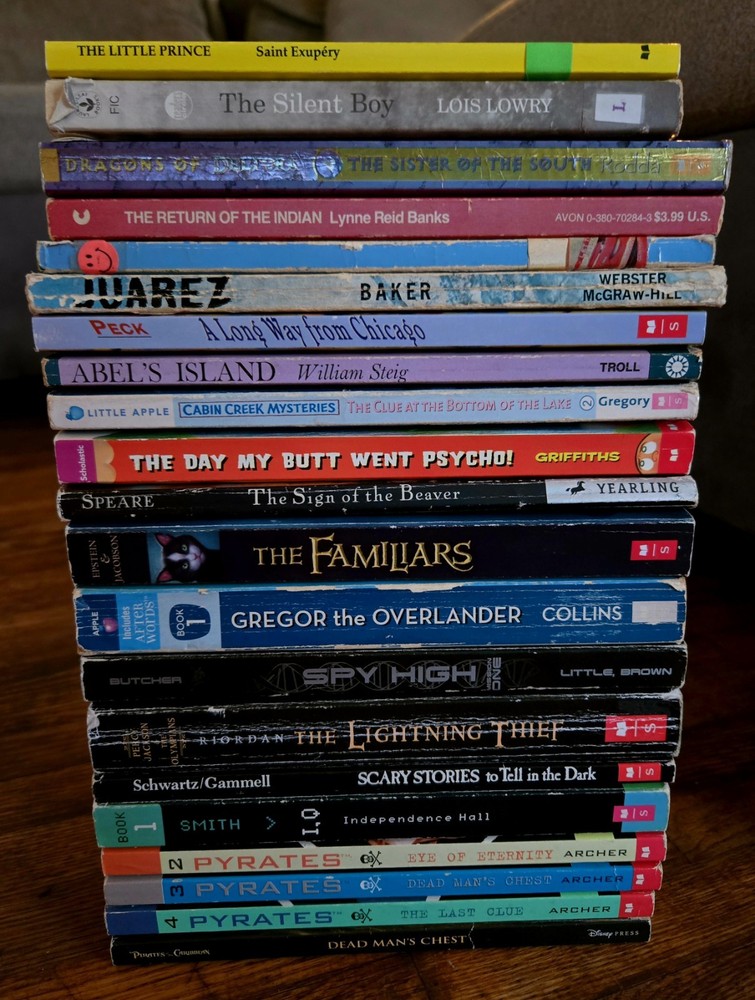 4th 5th Grade 21 Chapter Books Teacher Classroom Library Set Homeschool FB586