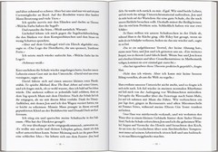 Sturmkind. Mein Leben auf der Wavewalker Suzanne Heywood